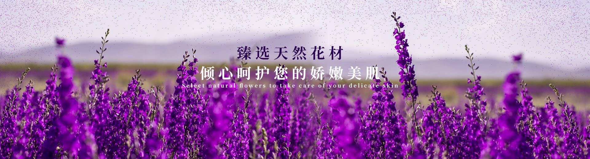 菏澤市花王科技工貿(mào)有限公司